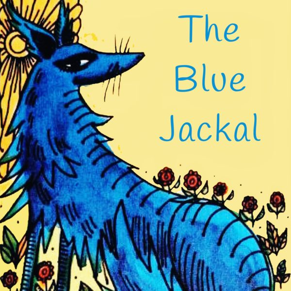 The blue Jackal from India