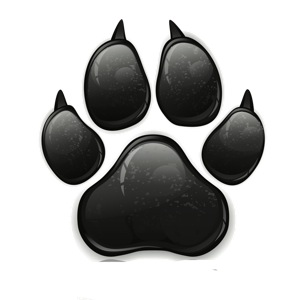 Paw Print of Dog