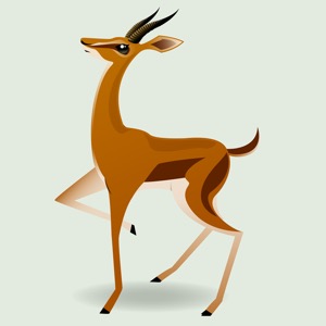 The Amazing Gazelle