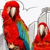 Astropup: Which Parrot?