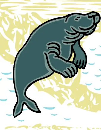 Sea Cow